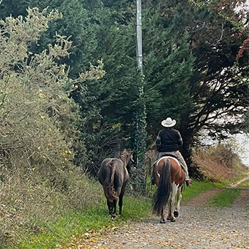 Un cavalier à Kerouzine © Amélie-Anne Chapelain