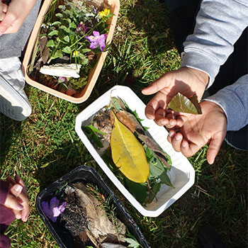 Collecte d'éléments végétaux, élèves d'hennebont avec Johnny Lebigot © Marie Favreau